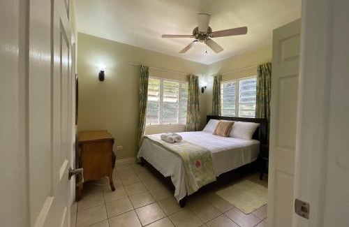 Olveston Villa | Luxury Spacious Villa with Aircon and Pool Table