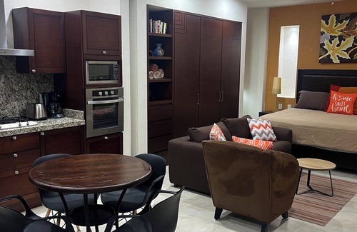 Emiliano Zapata Apartment | Luxury Studio in Center of Romantic Zone Fun! Fantastic Rooftop Views!