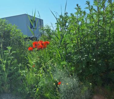 Almere Bed & Breakfast | Luxury Suites Oosterwold