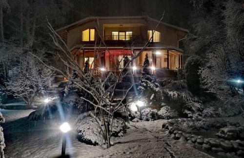 Sofia Villa | Luxury Villa Borina