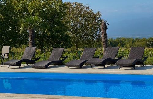 Telavi Villa | Luxury Villas in Alazani Valley Residence