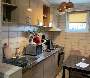 Kiseleff Apartment | LuxuryApartentsforrentsrl 3 camere