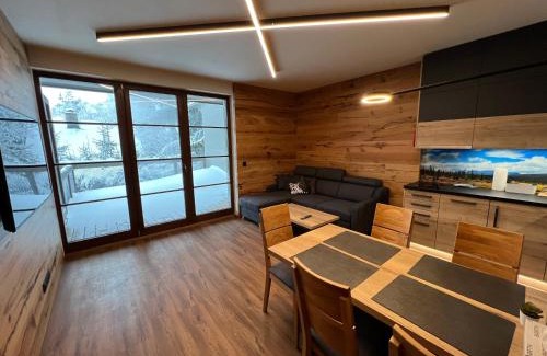 Ricky v Orlickych horach Apartment | Luxusní apartmán Perla
