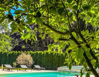 Scheibbs Villa | Luxusvilla Österreich