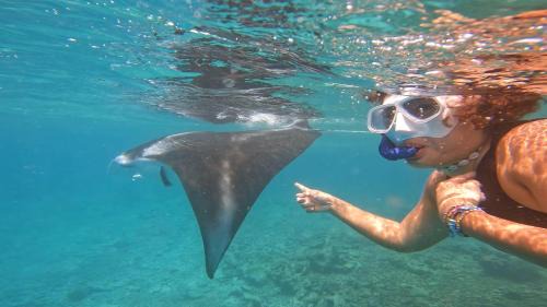 Dharavandhoo Hotel | LVIS blancura Hotel