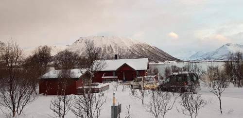Andoy Ski Chalet | Lykkebo, Skjoldehamnveien 1151, Nygård, Andøy