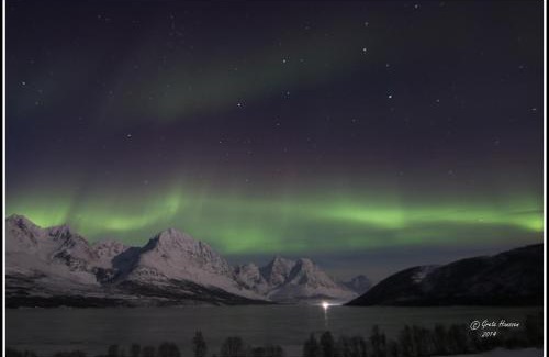 Lyngseidet Apartment | Lyngen Apartments