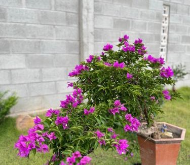 Phan Thiet Apartment | Mộc home garden