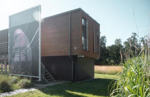 Pavilosta House | MAAJO Mākoņi