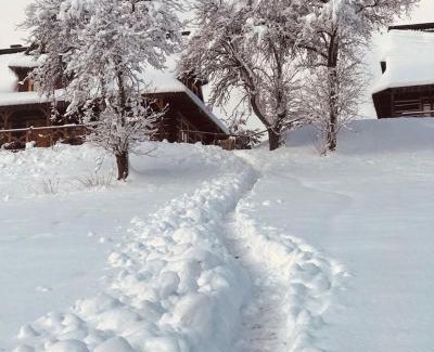 Baligrod Cabin | Maciejewka