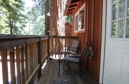 Garberville Cabin | "Madrone" Cabin In the Redwoods, River Access, WiFi nn