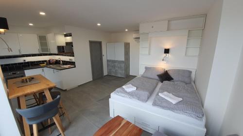 Plzen Apartment | Magic Apartment centre Pilsen