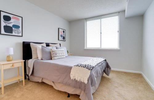 Ballston Apartment | Magnific Space at Arlington w Gym