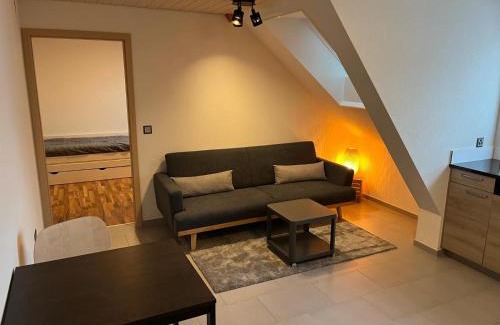 Saignelegier Apartment | Magnifique appartement de vacances "La Poste"