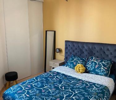 Faubourg-Raines Apartment | Magnifique appartement au centre ville avec parking privé et gratuit LE JARDIN DES PLANTES