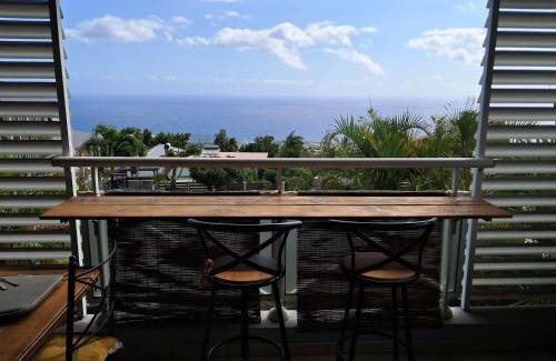 Piton Saint-Leu Apartment | Magnifique T2 vue mer