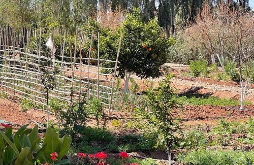 Oulad Hassoune House | Maidan El Arsa