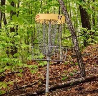 Stoneham House | Maine Woods Treehouse-The Birdie