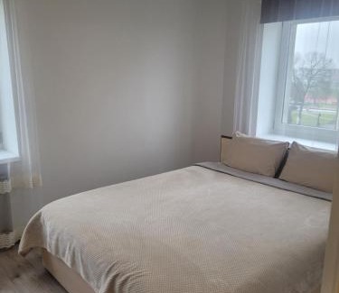 Radviliskis Apartment | Maironio Apartamentai