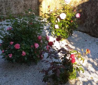 Le Fraysse Bed & Breakfast | Maison Belvoir