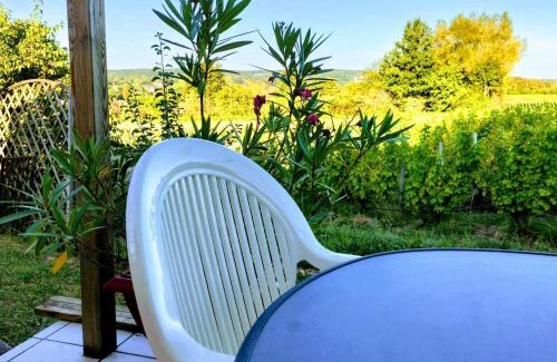 Saint-Satur House | Maison charmante à Saint-Satur avec jardin et terrasse