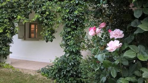 Szabadhidveg House | Maison Cirmi