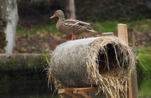Soucht House | Maison d'hôtes en pleine nature avec chevaux
