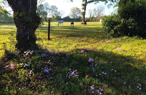 Le Landreau House | Maison de campagne au cœur d'un élevage de poneys connemara