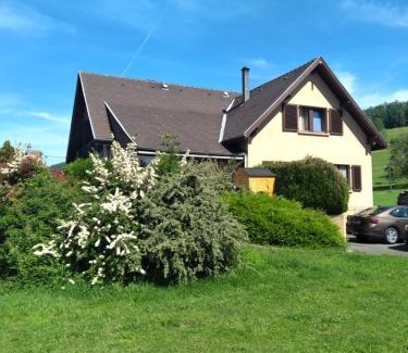 Munster Villa | Maison de charme 300m2 Haslach Grand séjour 15 personnes - Belles vues !
