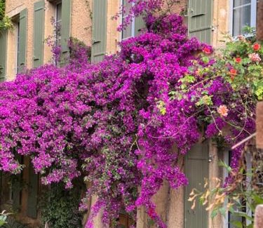 Orange Bed & Breakfast | Maison Jacotte orange