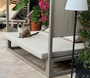 Orange Bed & Breakfast | Maison Jacotte orange