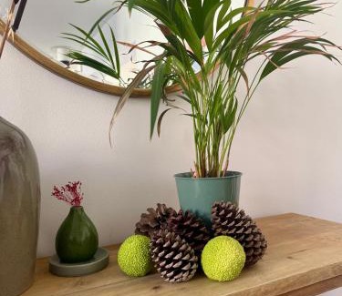 Saint-Serge Villa | Maison Jardin - Centre Angers