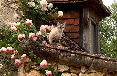 Sainte-Nathalene Bed & Breakfast | Maison Maria