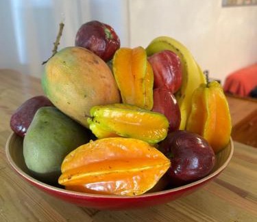 Basse-Terre House | Maison Petit Paradis