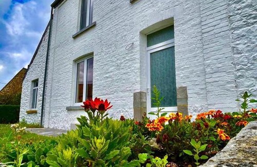 Felenne House | Maison poumon vert