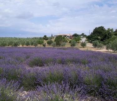 Baudinard-sur-Verdon House | Maison Provence à Baudinard-sur-Verdon