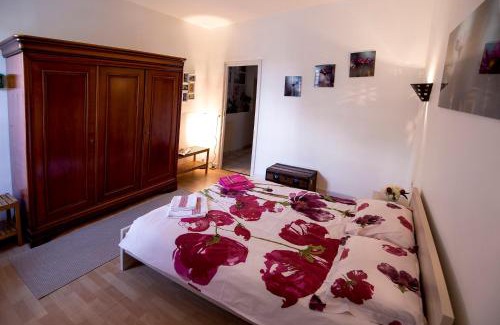 Marengo - Jolimont Apartment | Maison Toulousaine avec jardin