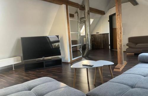 Sinsheim Apartment | Maisonette Apartment Family & Business nähe Heidelberg I Küche I 6 Schlafplätze