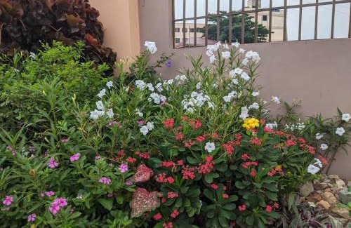 Kwabenyan House | majestic cottage