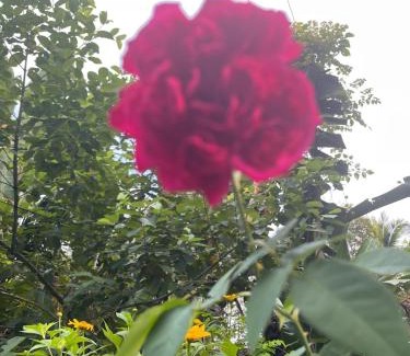 Thong Pha Phum Apartment | Maka farmstay Thong Pha Phum สวนคุณตาฟาร์มสเตย์