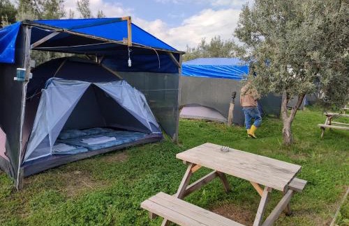 Murefte Other | Makara camp