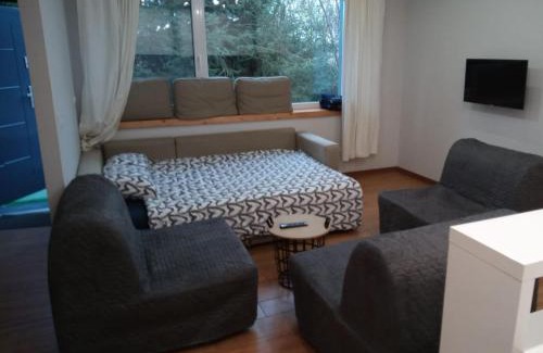 Sroda Wielkopolska Apartment | Maly apartament w zieleni blisko jeziora