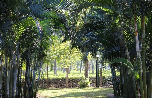Dibrugarh Villa | Mancotta Heritage Chang Bungalow