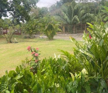Chilibre House | Mango house