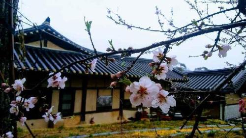 Bonghwa House | Manhoe Gotaek