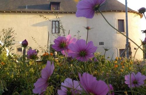 Chavagne Apartment | Manoir de la Guignardiere : Thé ou café ?