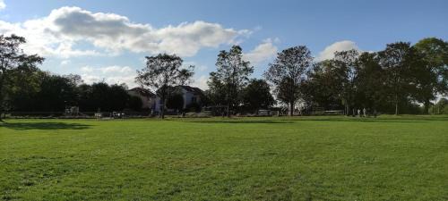 Horfield House | Maple House