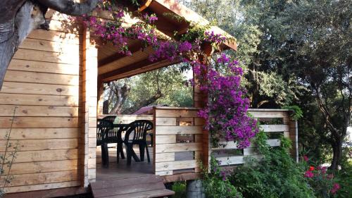 Porto Pollo House | Mare E Monti Chalets