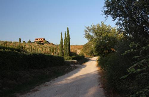 Campagnatico Apartment | Maremma che vista!