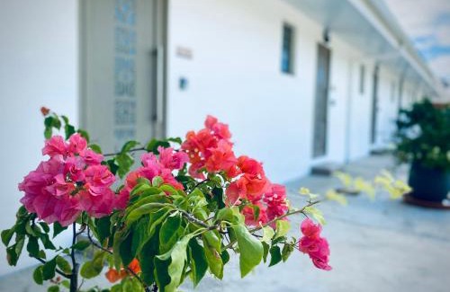 Point Matira Apartment | Mareta Lodge - Studio AHURU 10